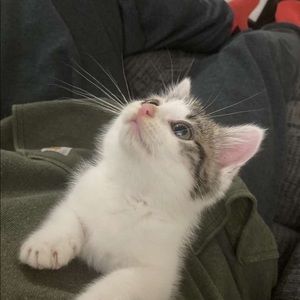 Meet your Posher, Kathryn